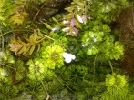 copy_878_080120081790.jpg