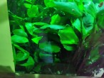 copy_600_IMG_20240601_080726.jpg