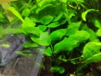 copy_884_IMG_20240601_080719.jpg