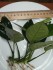 IMG_20241007_133057.jpg