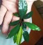IMG_20241008_152250~2.jpg