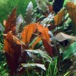 copy_328_copy_19_copy_490_images-16.jpeg