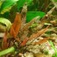 copy_616_copy_200_copy_359_images-15.jpeg