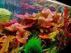 IMG_20241208_123658.jpg
