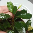 copy_270_IMG_20241101_1200062.jpg