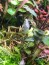 A9BEE9DB-2D35-407C-84B6-4E1722BCD53B.jpeg