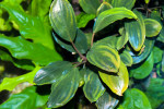 copy_292_DSC0010.jpg