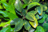 copy_292_DSC0010.jpg