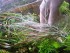 copy_976_20241228_154318.jpg