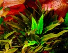 copy_119_IMG_20250203_205647.jpg