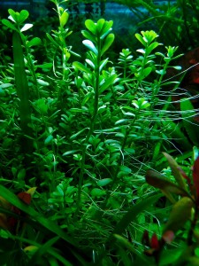 copy_810_IMG_20231125_121823.jpg