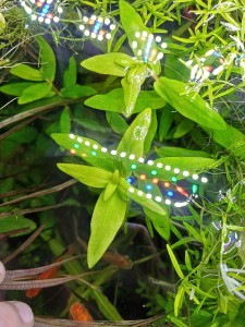 20250328_152418.jpg