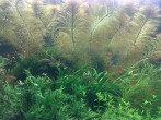 080620161538.jpg