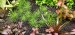 copy_684_copy_561_copy_137_copy_655_copy_2_20240304_140658.jpg