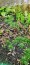 copy_760_copy_474_copy_172_20240304_140649-1.jpg