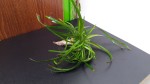 20201013_101850_114554.jpg