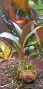 20250504_174612.jpg