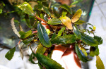 copy_456_DSC0045-1.jpg