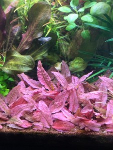 photo_2025-05-06_15-07-01 (2).jpg