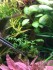 copy_816_copy_835_copy_82_3C76E7D5-C6D1-4FCF-80D8-556D0442D047.jpeg