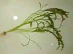IMG_20250814_094118.jpg