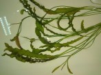 IMG_20250814_094311.jpg