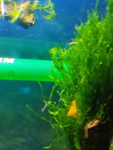 copy_112_IMG_20211219_213534.jpg