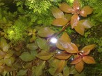 copy_753_copy_745_170720171741.jpg
