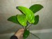 IMG_20251008_130939.jpg
