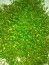 copy_746_IMG_20250813_133144.jpg