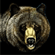   RawBear