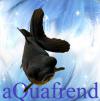 Аватар для aQuafrend