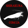Аватар для Shirakura