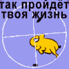Аватар для slamen