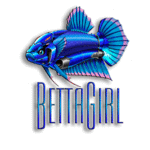 Аватар для BettaGirl