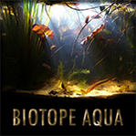   Biotope Aquarium