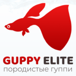Аватар для Guppy Elite