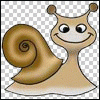 snail2000