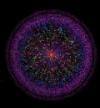  nucleus