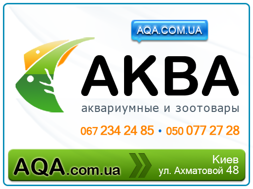  AQA.com.ua