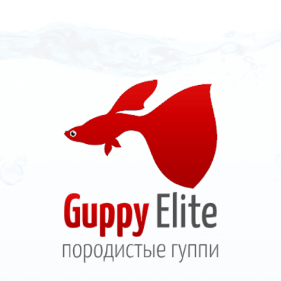  Guppy Elite