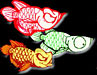   Arowana