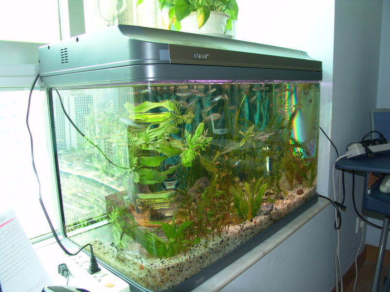 Ultra aquarium
