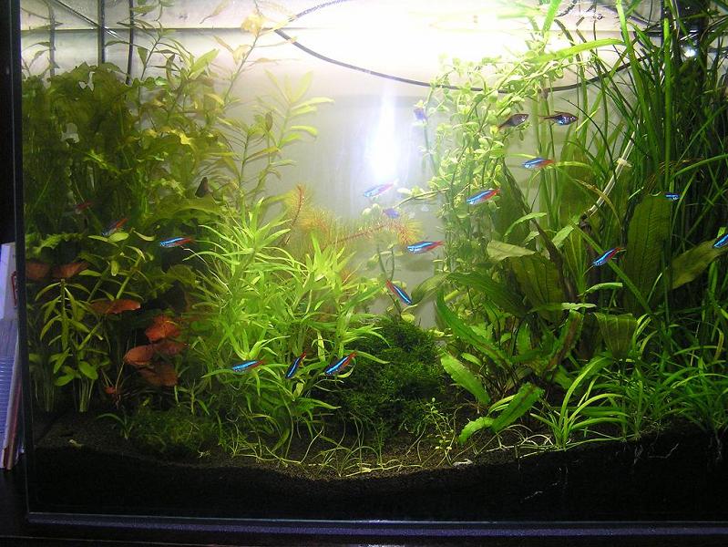 80L_4