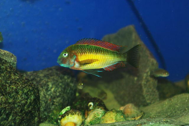 �������4