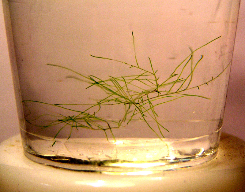 ��������� �� ���� ���������?