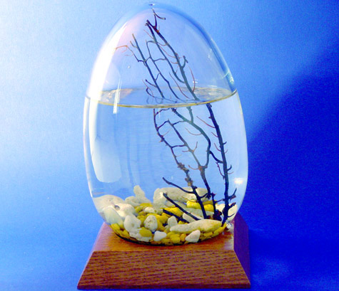 �������2