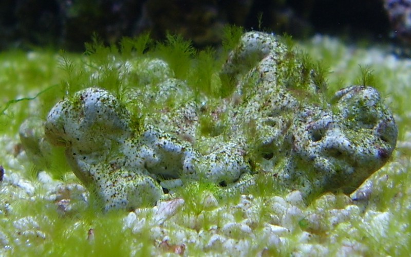 ���������1