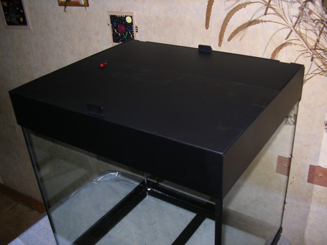 kryshka1
