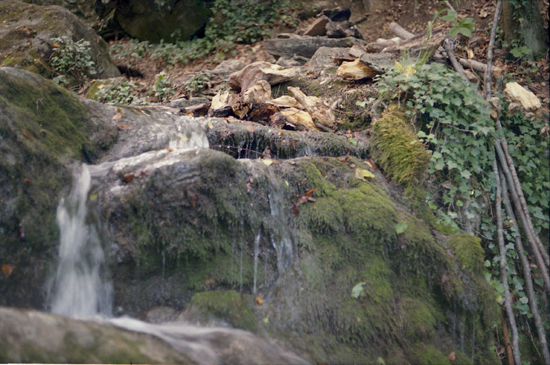  2004.